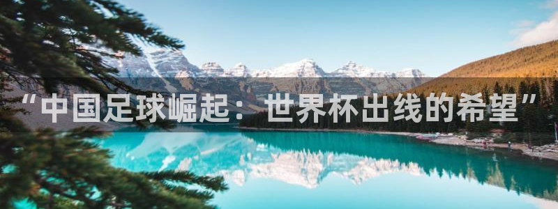 世界杯小组赛赛程：“中国足球崛起：世界杯出线的希望”
