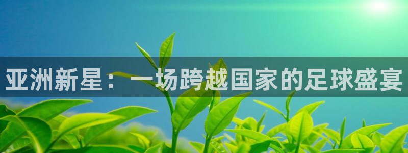 世界杯今日赛程直播：亚洲新星：一场跨越国家的足球盛宴
