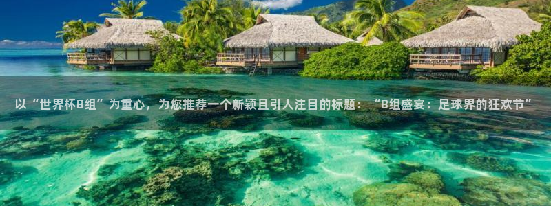 欧联杯直播：以“世界杯B组”为重心，为您推荐一个新颖且引人注目的标题：“B组盛宴：足球界的狂欢节”