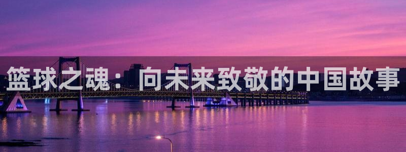 世界杯比赛直播：篮球之魂：向未来致敬的中国故事