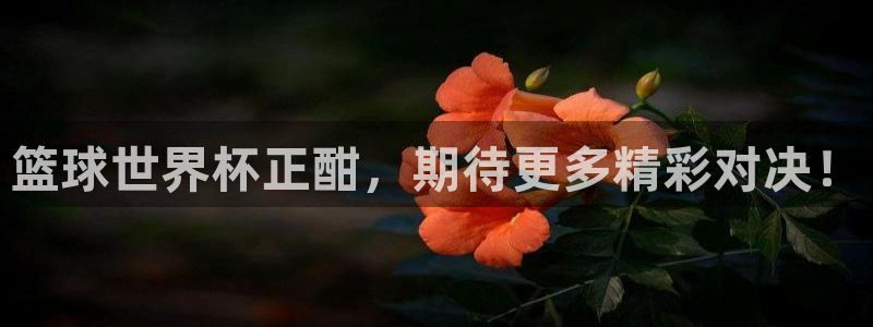 世界杯比赛时间：篮球世界杯正酣，期待更多精彩对决！