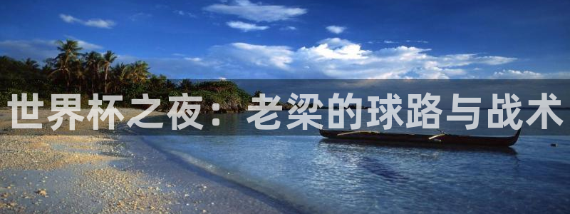 世界杯决赛直播：世界杯之夜：老梁的球路与战术