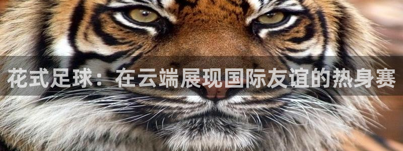 世界杯系列赛：花式足球：在云端展现国际友谊的热身赛