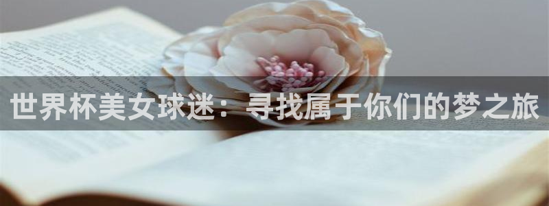 联赛杯直播：世界杯美女球迷：寻找属于你们的梦之旅