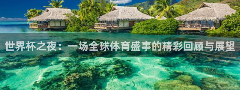 足球杯：世界杯之夜：一场全球体育盛事的精彩回顾与展望