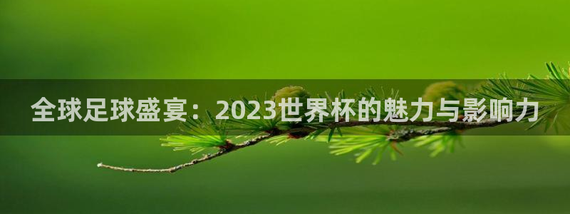 世界直播：全球足球盛宴：2023世界杯的魅力与影响力