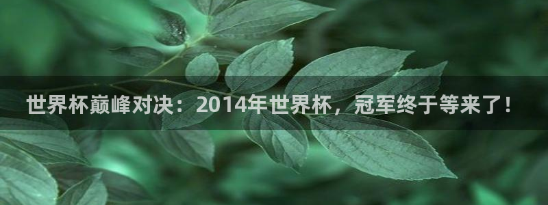 足球世预赛：世界杯巅峰对决：2014年世界杯，冠军终于等来了！