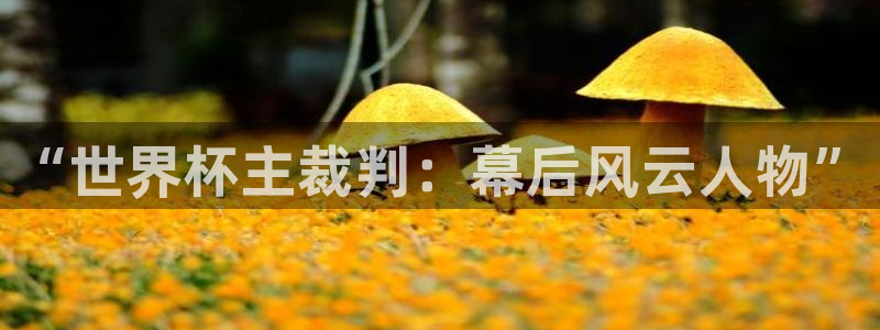 2026年世界杯直播平台：“世界杯主裁判：幕后风云人物”
